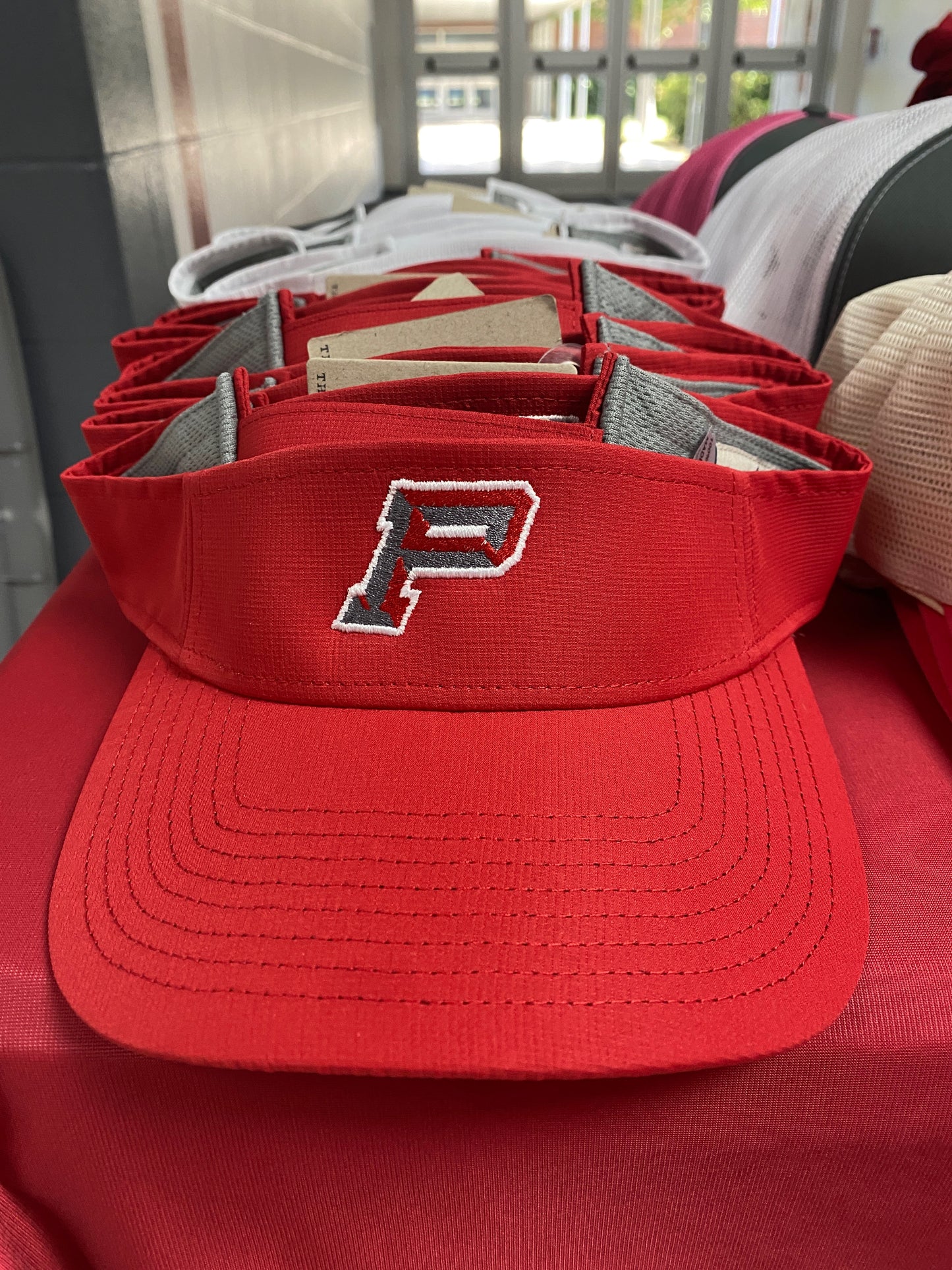 Pioneer Visor