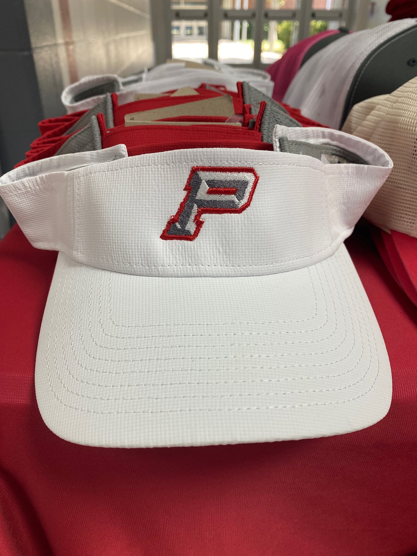 Pioneer Visor