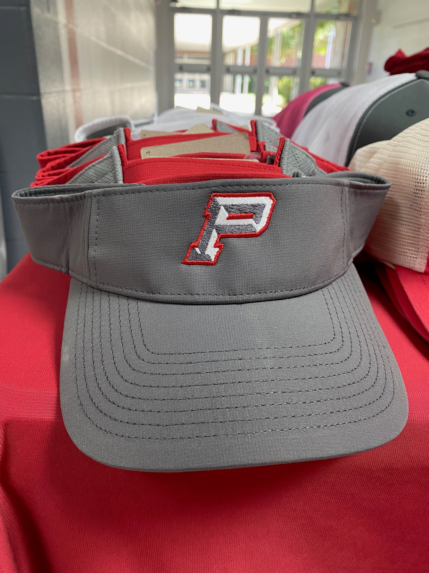 Pioneer Visor